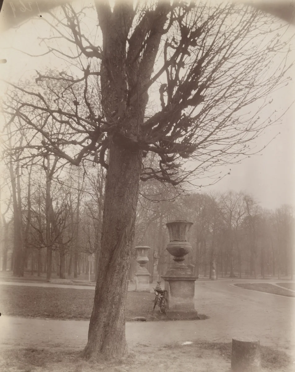Saint-Cloud by Eugène Atget, photograph, 1926