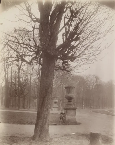 Saint-Cloud by Eugène Atget, photograph, 1926