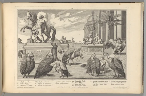 Residences Memorables de l'Incomporable Heros de Nôtre Siècle, ou Edifices et Jardins de Son Altesse Serenissime Monsigneur Le Prince Eugene François de Savoye et de Piedmont by Salomon Kleiner, book, 1731-1740