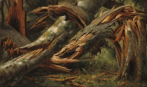 Fallen Tree by Alexandre Calame, painting, 1839-1845
