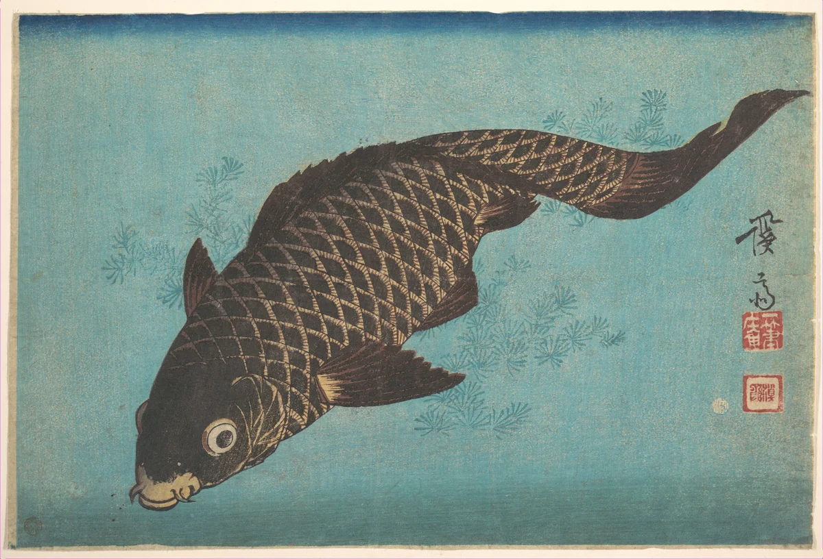 Koi by Keisai Eisen (渓斎英泉), print, 1832-1852
