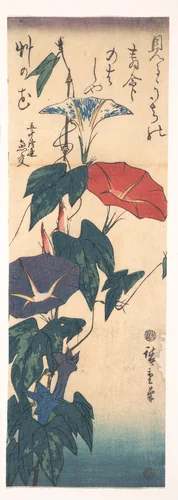 Morning Glories by Utagawa Hiroshige (歌川広重), print, 1833-1853