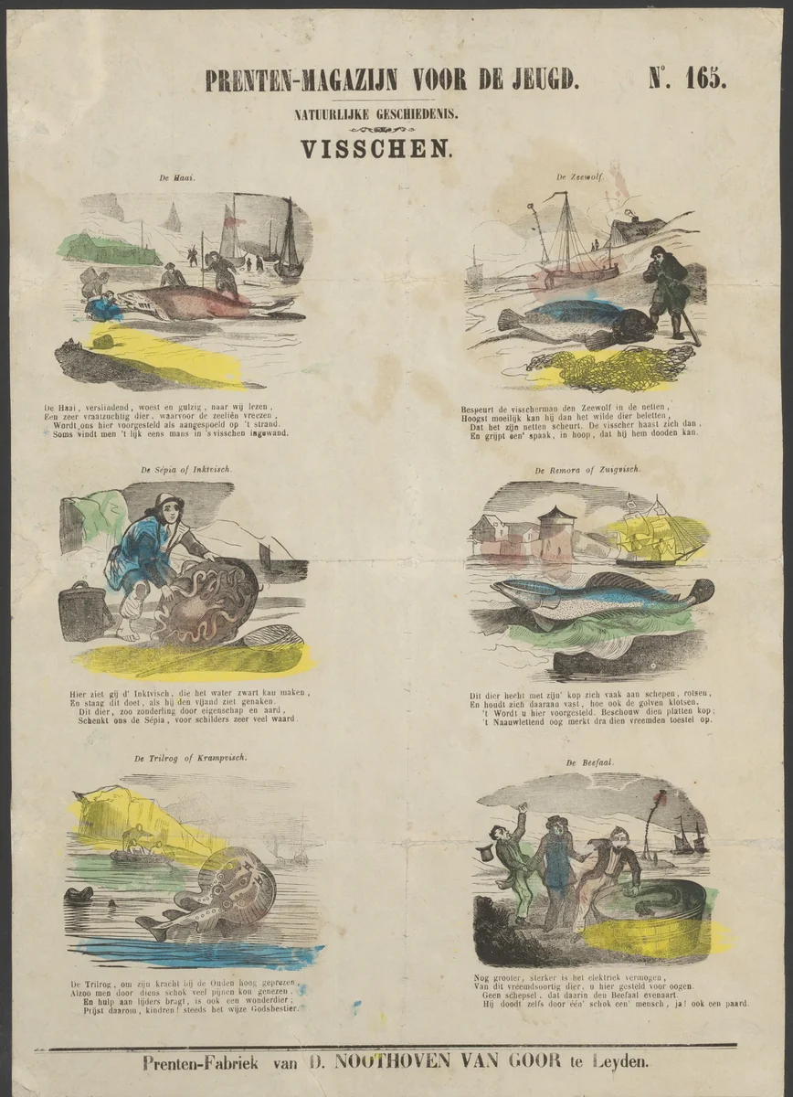 Vissen by anonymous, print, 1850-1881