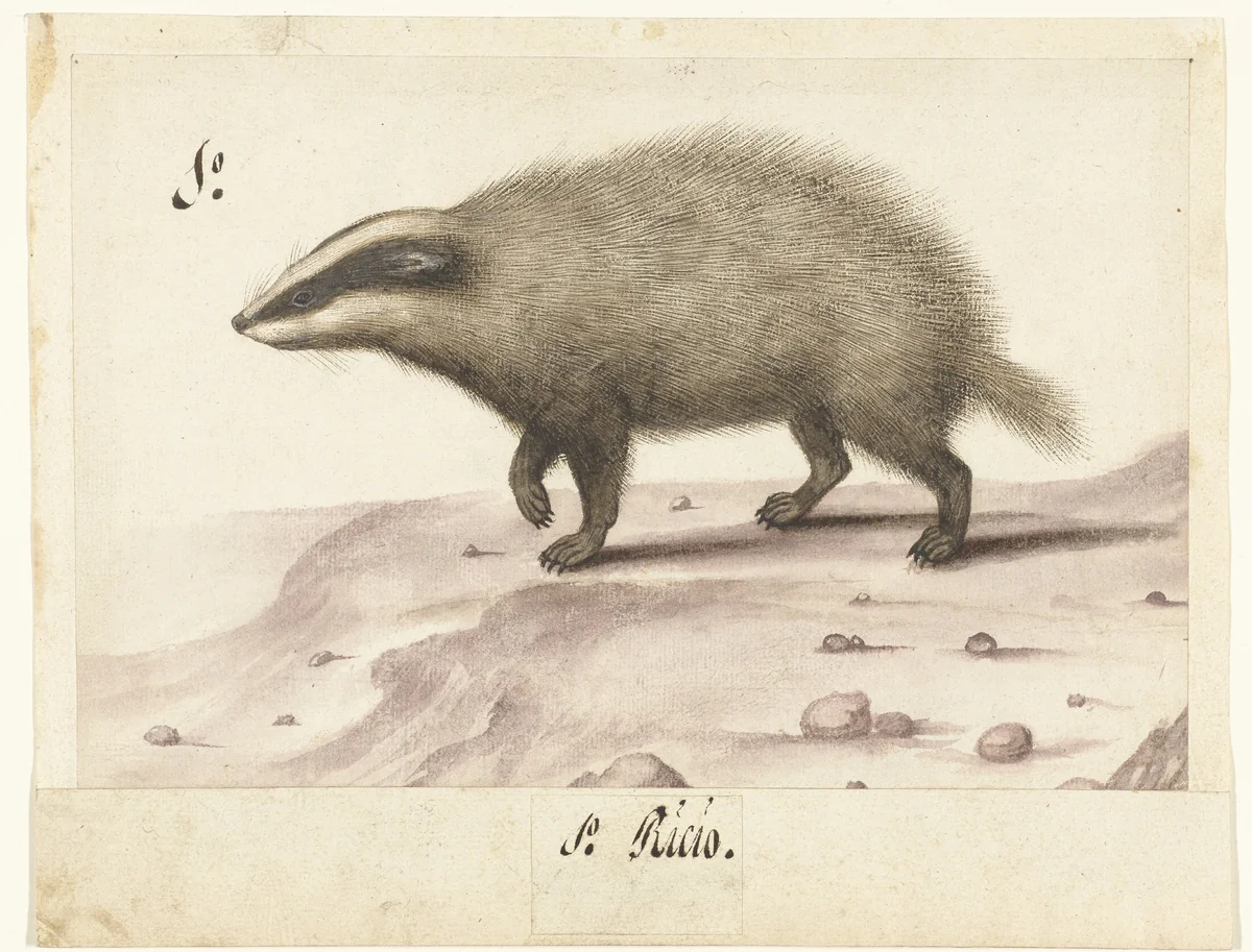 Das by anonymous, drawing, 1560-1585