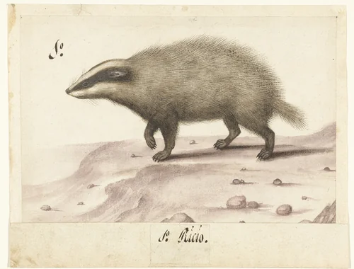 Das by anonymous, drawing, 1560-1585