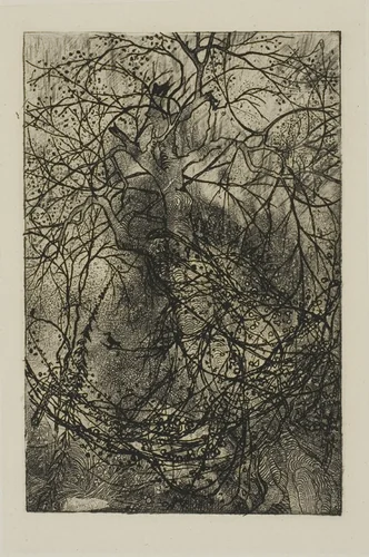 Tree Branches by Rodolphe Bresdin, print, 1845-1885