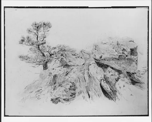 Tree and Rocks by Walter Shirlaw, artwork, 1838-1909
