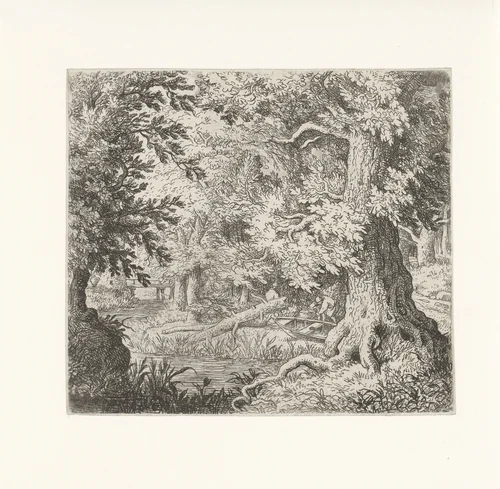 Beekje in het bos by Allaert van Everdingen, print, 1631-1675