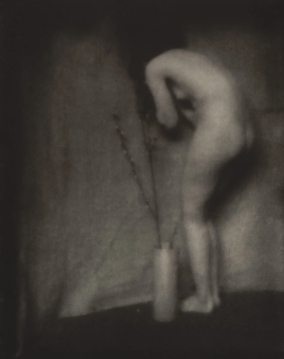 Pussy Willow by Edward Steichen, photograph, 1901