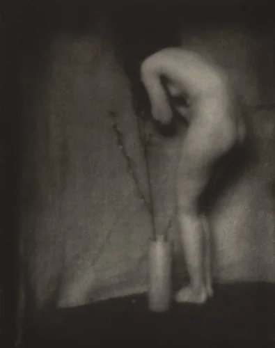Pussy Willow by Edward Steichen, photograph, 1901
