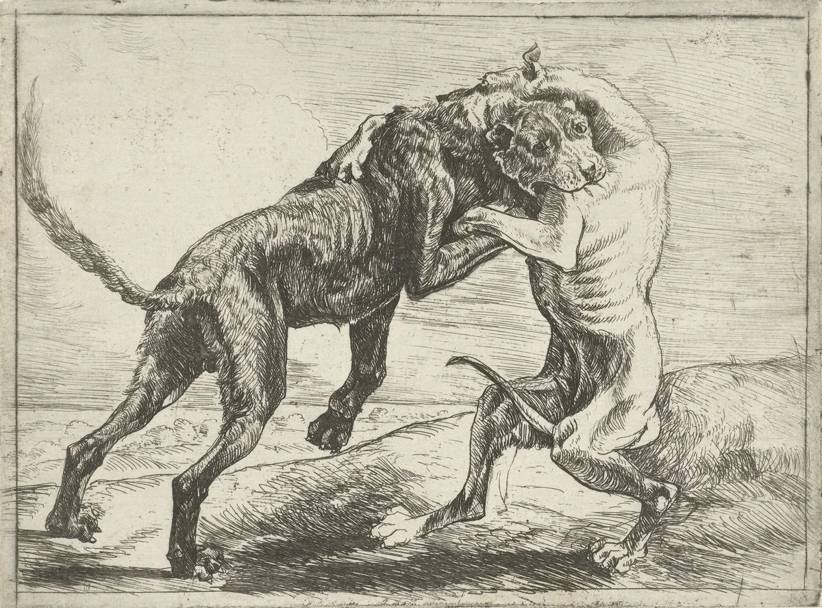 Twee vechtende honden by Pauwels van Hillegaert, print, 1654