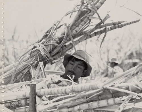 Peru, page 11 by Robert Frank, photograph, 1948