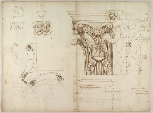St. Peter's, Corinthian capital, elevation; base, elevation; volute, end elevation, profile, and view from below (recto) St. Peter's, Corinthian capital, acanthus leaf details and profiles of two cornice mouldings (verso) by anonymous, drawing, 1500-1560