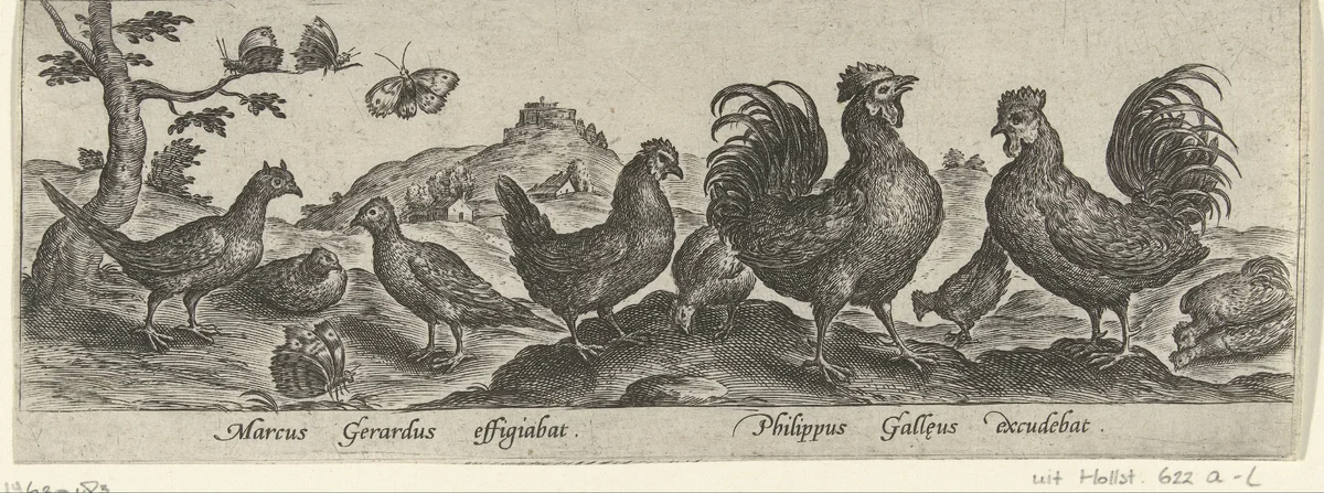 Hoenders en vlinders by Unknown, print, 1547-1590