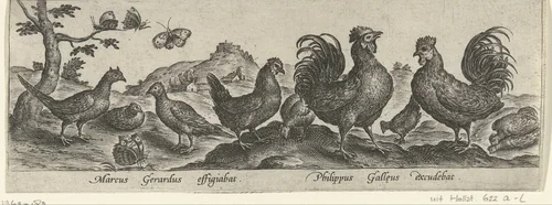 Hoenders en vlinders by Unknown, print, 1547-1590