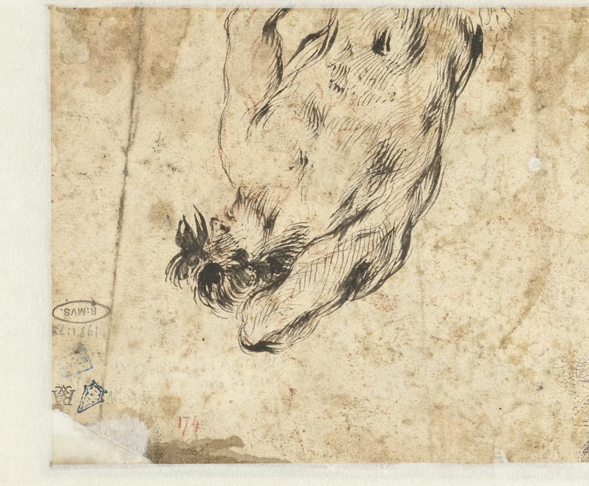 Bovenlijf van een sater-achtige man met opgeheven arm by Giovanni Battista Piranesi, drawing, 1745-1750