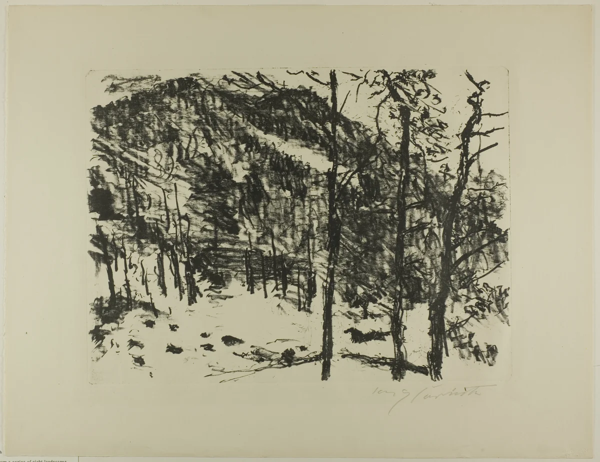 The Valley, from Early Spring in the Mountains by Lovis Corinth, print, 1922