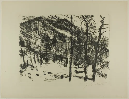 The Valley, from Early Spring in the Mountains by Lovis Corinth, print, 1922