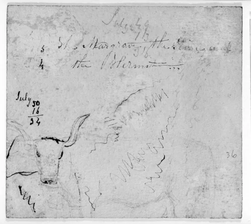Mathmatical Computaions; Sketch of a Steer; Partial Unidentified Text (from Sketchbook) by James McNeill Whistler, artwork, 1854-1855