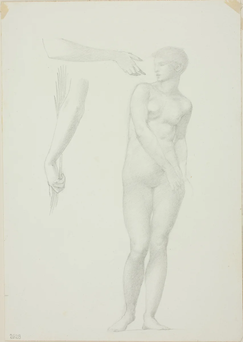 Standing Female Nude and Sketches of Arms by Edward Burne-Jones, drawing, 1868-1883