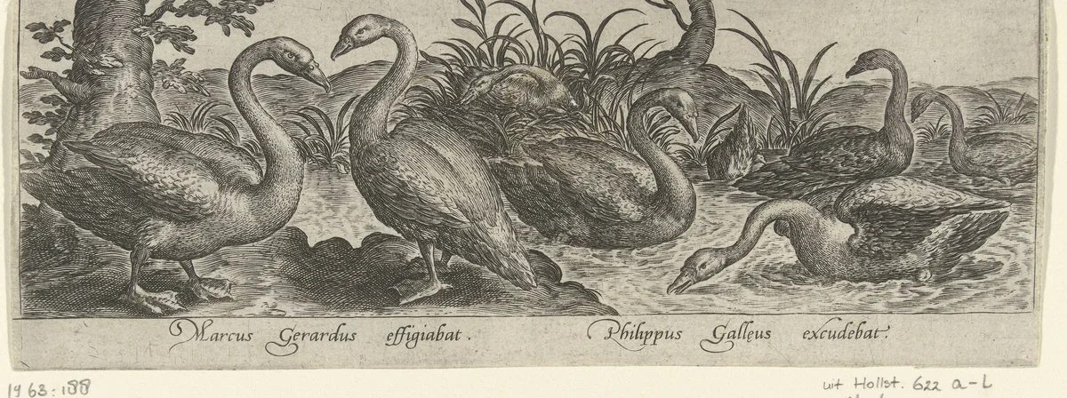Zeven ganzen by Unknown, print, 1547-1590
