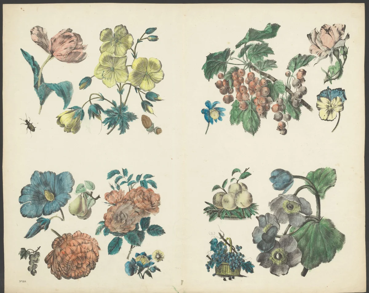 Diverse bloemen by anonymous, print, 1800-1899