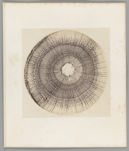 [Untitled] by Auguste-Adolphe Bertsch, photograph, 1853-1857