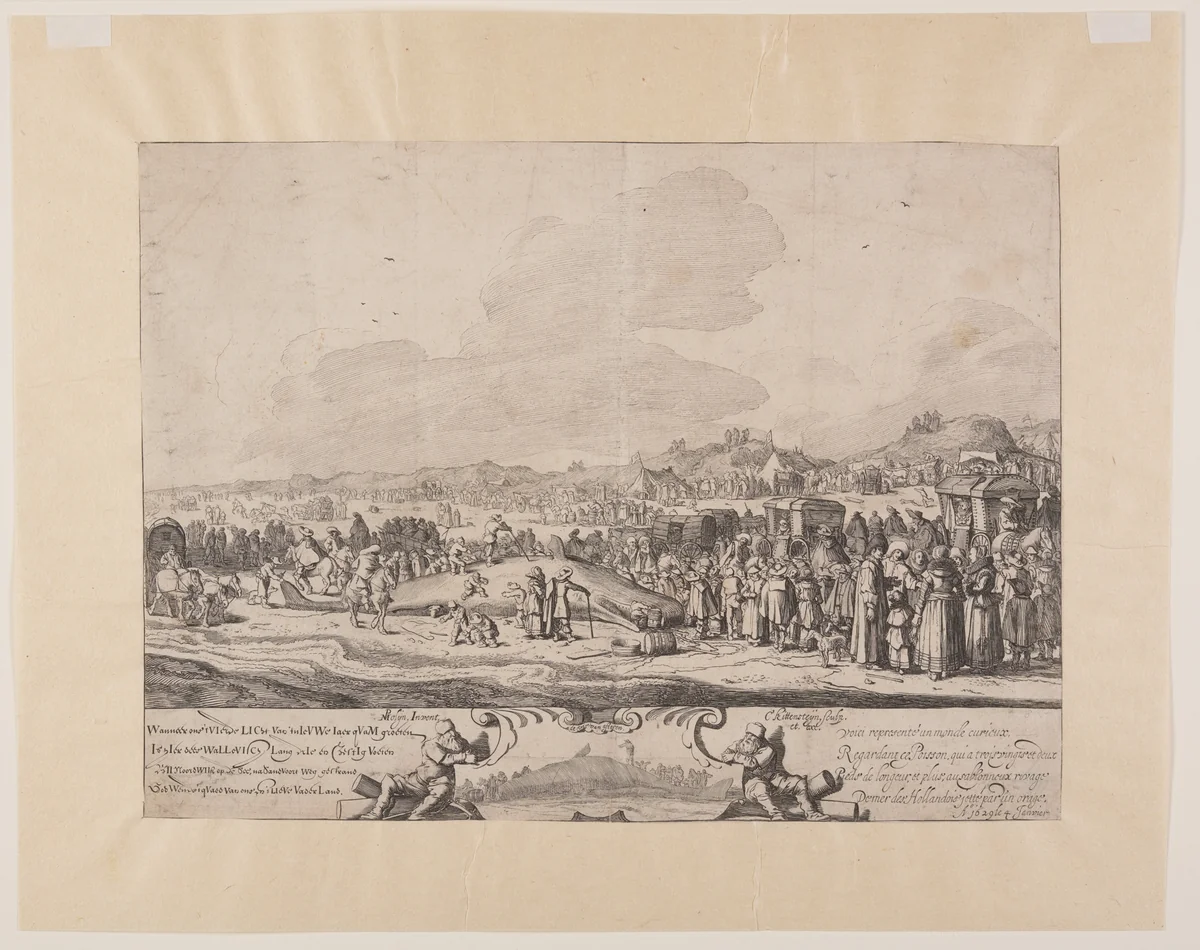 The Cachalot Stranded between Noordwijk and Zandvoort by Cornelis van Kittensteyn, print, 1629