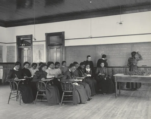 English. Compositions of the cone-bearing trees by Frances Benjamin Johnston, photograph, 1899