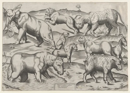 Wild Animals, from antique wall paintings, plate 2, from "Speculum Romanae Magnificentiae" by anonymous, print, 1565-1585