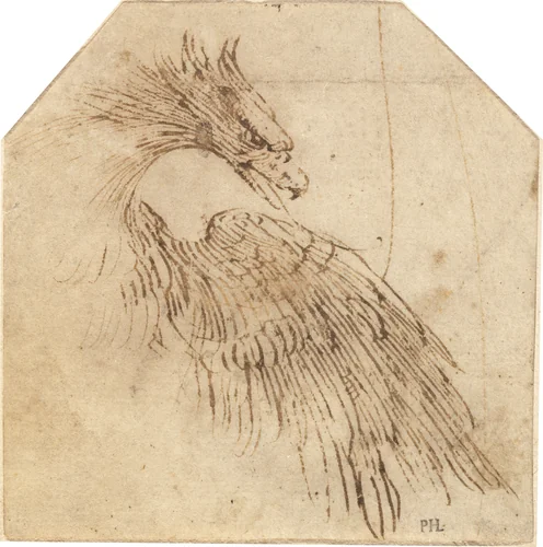 An Eagle by Titian, drawing, 1560-1565