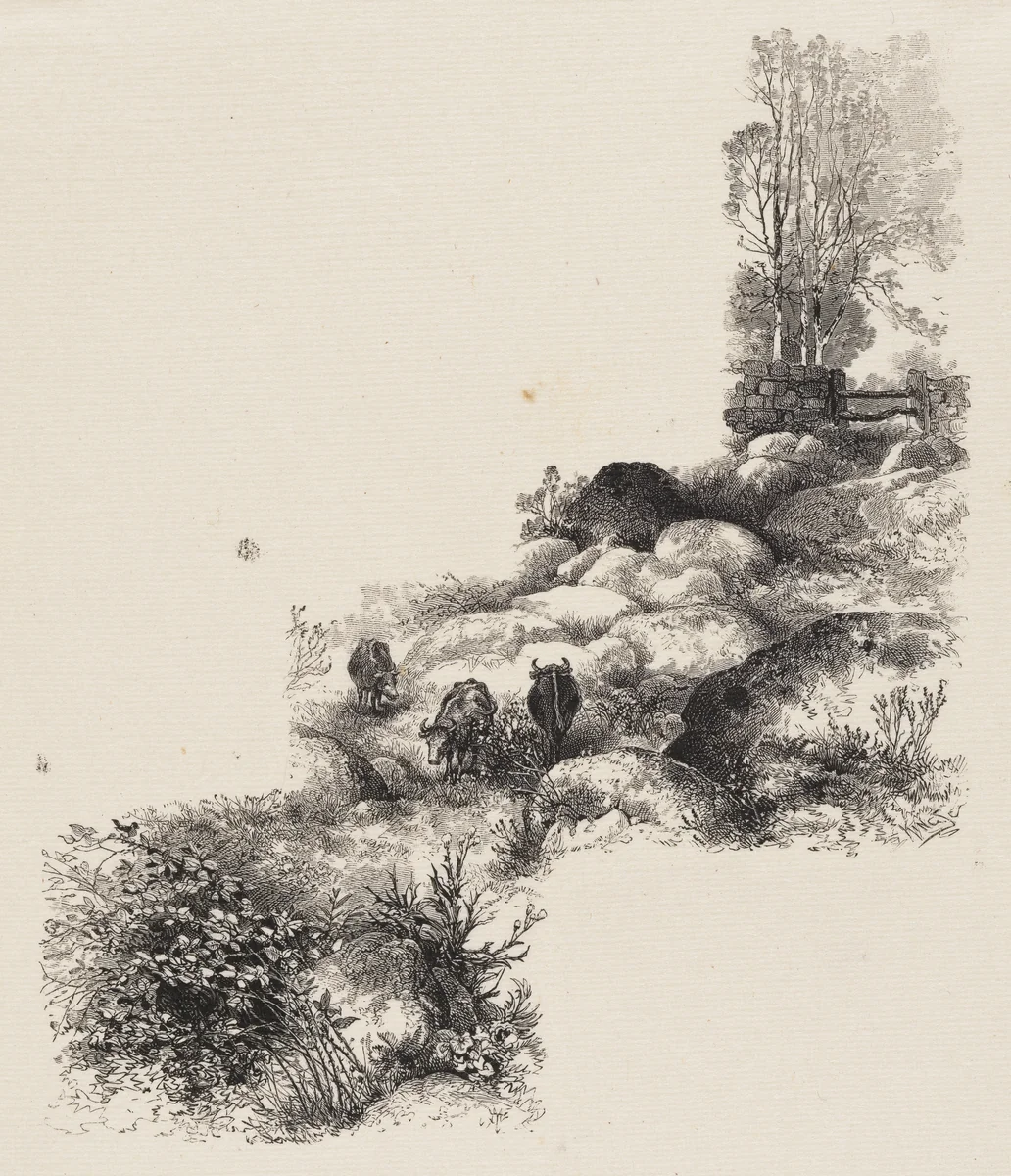The Rocky Pasture by Francis Scott King, print, 1865-1915