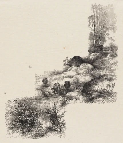 The Rocky Pasture by Francis Scott King, print, 1865-1915