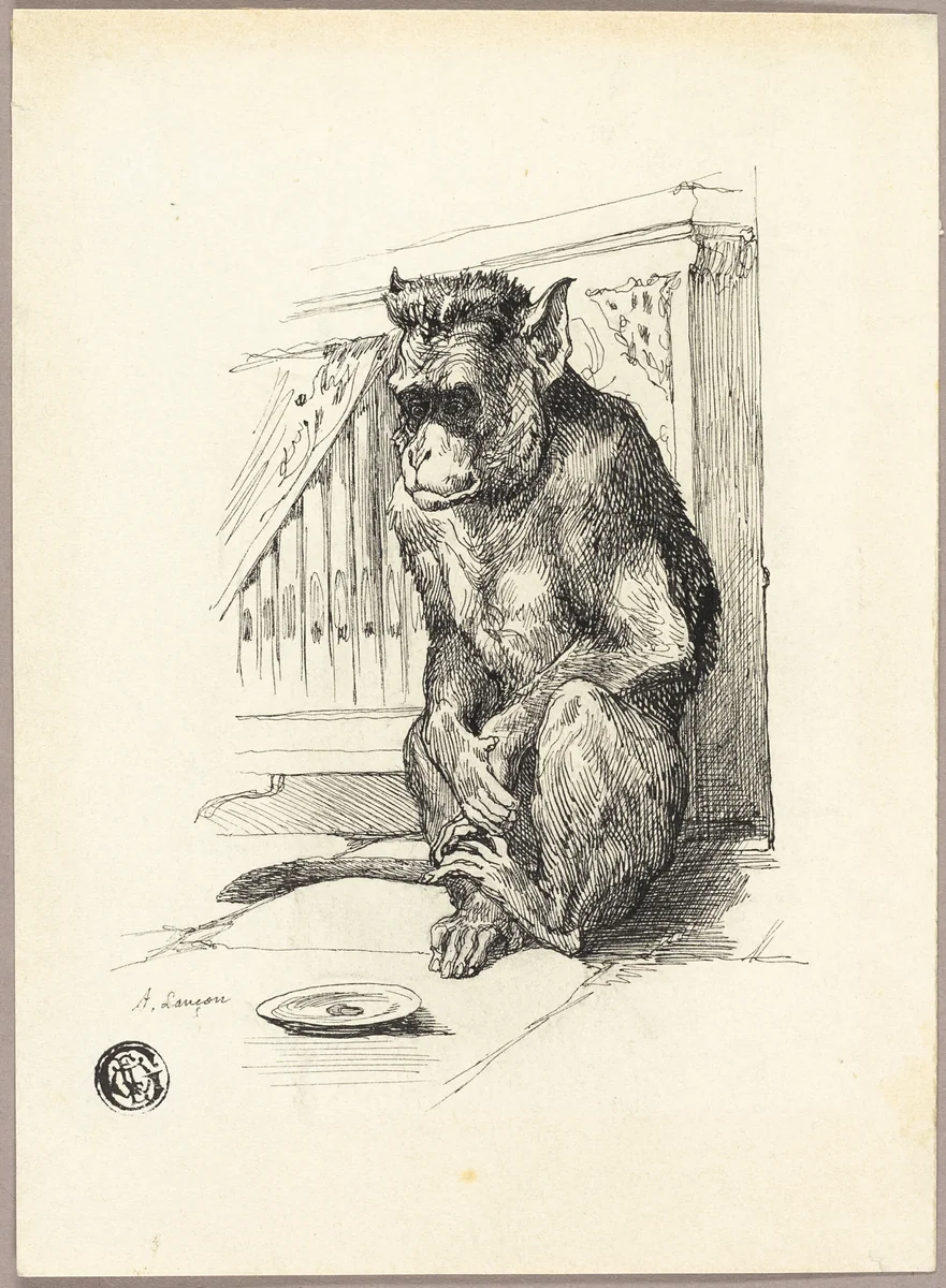 Begging Monkey by Auguste Andre Lançon, drawing, 1856-1887