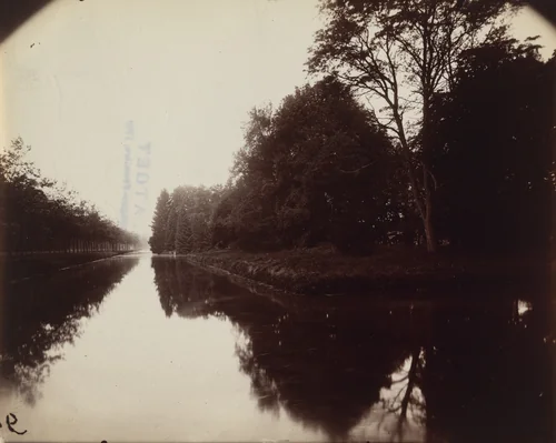 Parc de Rambouillet by Eugène Atget, photograph, 1919
