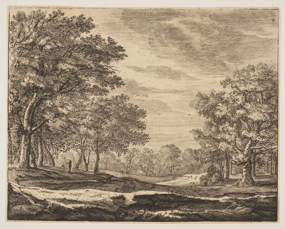 Plate 5, from Six Views in the Wood of The Hague by Roelant Roghman, print, 1640-1652