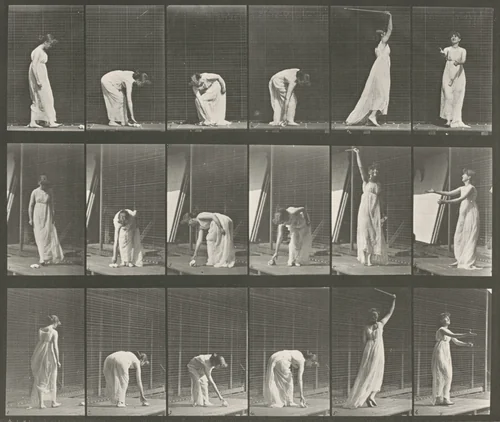 Plate Number 503. Miscellaneous, stooping, etc. by Eadweard Muybridge, photograph, 1887