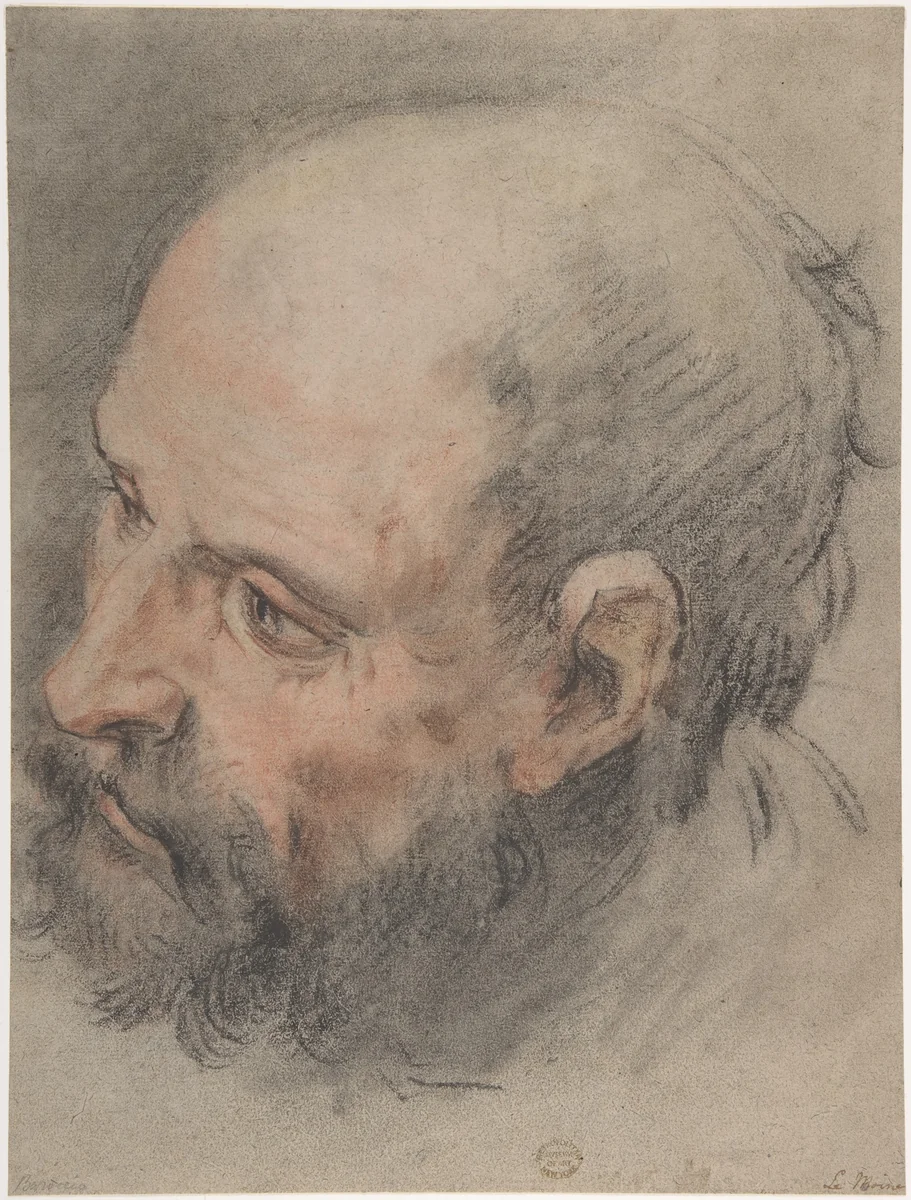Head of a Bearded Man Looking Left by François Le Moyne, drawing, 1700-1737