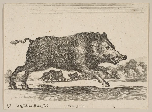 Plate 19: Wild Boar, from "Various animals" (Diversi animali) by Stefano della Bella, print, 1636-1646