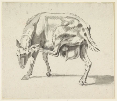 Zich krabbende geit by Hendrik Jozef Franciscus van der Poorten, drawing, 1840