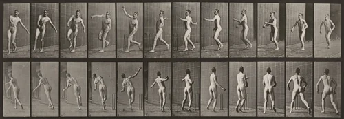 Plate Number 290. Cricket, overarm bowling by Eadweard Muybridge, photograph, 1887