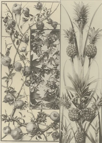 Page from Festons und Dekorative Gruppen by Unidentified Photographer, photograph, 1893