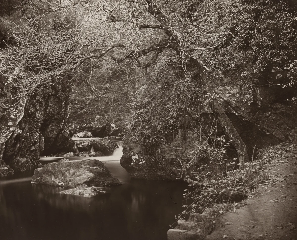The Dargle Hole by Thomas Marcus Brownrigg, photograph, 1860-1870