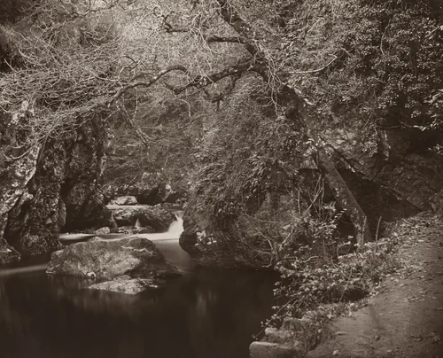 The Dargle Hole by Thomas Marcus Brownrigg, photograph, 1860-1870