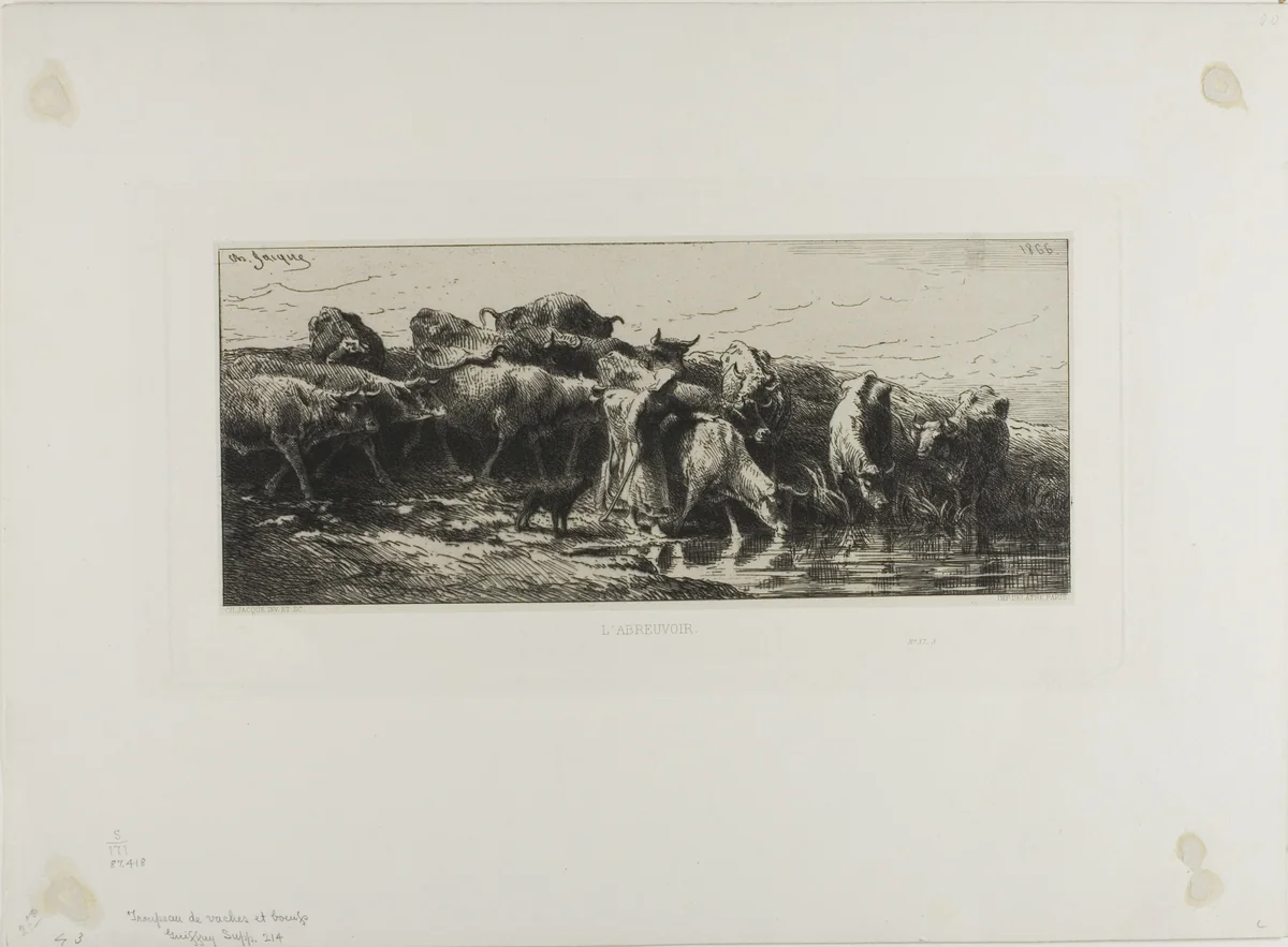 Cows Drinking by Charles-Émile Jacque, print, 1866