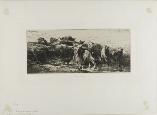 Cows Drinking by Charles-Émile Jacque, print, 1866