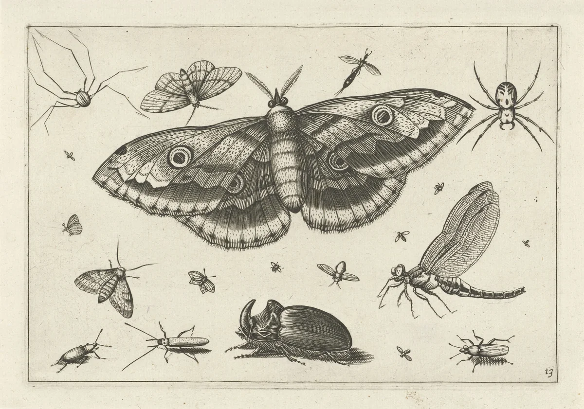 Insecten by Jacob Hoefnagel, print, 1630