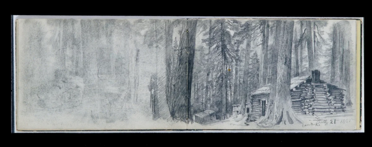 Camp A: Log Cabin in Woods (from Sketchbook X) by William Trost Richards, artwork, 1885