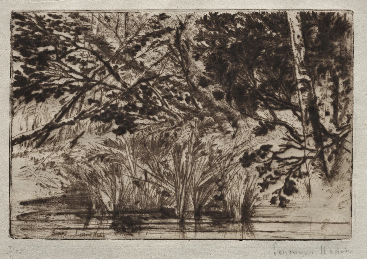 The Mouth of a Brook (Second Plate) by Francis Seymour-Haden, print