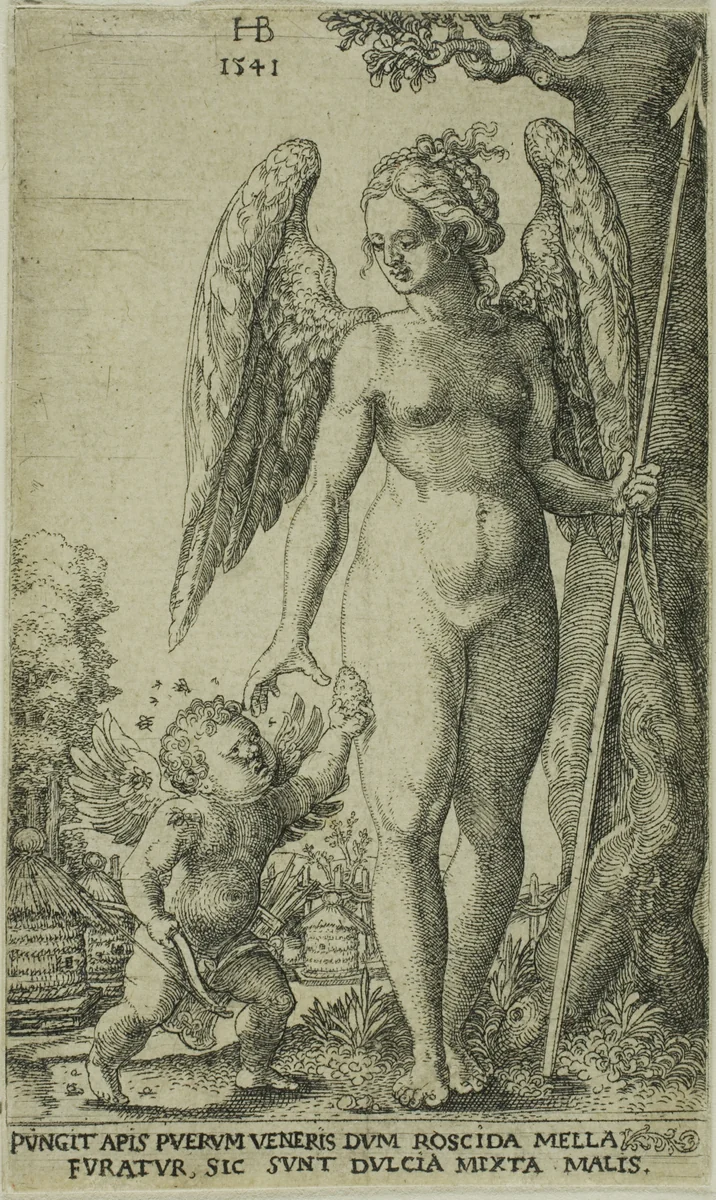 Cupid Bringing and Honeycomb to Venus by Hans Brosamer, print, 1541